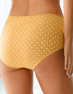 Culotte Maxi Coton "graphique" - Lot De 4 -Célèbre Lingerie Magasin 700206 C01 zoomx vue5