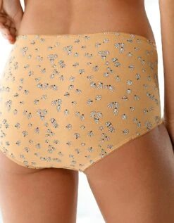 Culotte Maxi Coton "graphique" - Lot De 4 -Célèbre Lingerie Magasin 700206 C01 zoomx vue6