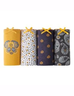 Slip Coton Imprimé Gamme "cachemire" - Lot De 4 -Célèbre Lingerie Magasin 700224 C01 zoomx vue5