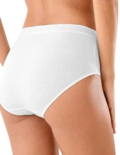 Culotte Maxi Brodée - Lot De 4 -Célèbre Lingerie Magasin 700405 02 1