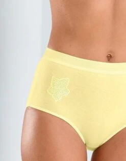 Culotte Maxi Brodée - Lot De 4 9 Culotte Maxi Brodée - Lot De 4 -Célèbre Lingerie Magasin 700405 03 1