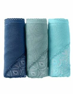 Culotte Forme Midi Coton Uni Stretch Et Dentelle - Lot De 3 13 Culotte Forme Midi Coton Uni Stretch Et Dentelle - Lot De 3 -Célèbre Lingerie Magasin 700419 C01 zoomx vue7