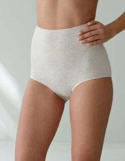Culotte Coton Stretch Taille Très Haute Couvrante - Lot De 2 -Célèbre Lingerie Magasin 700494 C02 zoomx vue4
