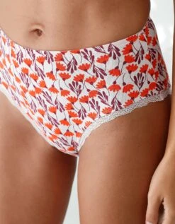 Culotte Taille Haute Coton Stretch Imprimé " Fleurs" Et Dentelle - Lot De 3 -Célèbre Lingerie Magasin 700561 C01 zoomx vue3