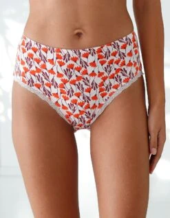 Culotte Taille Haute Coton Stretch Imprimé " Fleurs" Et Dentelle - Lot De 3 -Célèbre Lingerie Magasin 700561 C01 zoomx vue4