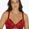 Well Soutien-gorge Demi-coques Dentellissime Avec Armatures -Célèbre Lingerie Magasin 701037 C01 zoomx