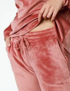 Pyjama Velours Stretch Manches Longues Col Boutonné -Célèbre Lingerie Magasin 703933 C02 zoomx vue7