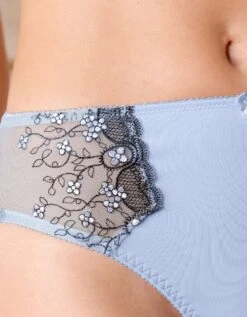 Culotte Microfibre Tulle Brodé Caminata -Célèbre Lingerie Magasin 707169 C11 zoomx vue5