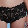 Culotte Haute Dentelle Unie Arum -Célèbre Lingerie Magasin 707279 C03 zoomx