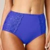 Gainette Ventre Plat Microfibre Tulle Brodé Sienne - Lot De 2 -Célèbre Lingerie Magasin 707455 C04 zoomx