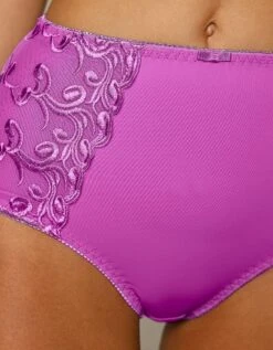 Gainette Ventre Plat Microfibre Tulle Brodé Sienne - Lot De 2 -Célèbre Lingerie Magasin 707455 C04 zoomx vue6