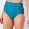 Gainette Ventre Plat Microfibre Tulle Brodé Sienne - Lot De 2 2 Gainette Ventre Plat Microfibre Tulle Brodé Sienne - Lot De 2 -Célèbre Lingerie Magasin 707455 C07 zoomx