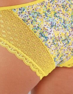Culotte Midi Coton Dentelle Imprimée Multicolore Coria - Lot De 2 -Célèbre Lingerie Magasin 707575 C01 zoom detailRFP