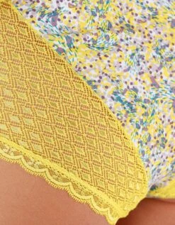 Culotte Maxi Coton Dentelle Imprimée Multicolore Coria - Lot De 2 -Célèbre Lingerie Magasin 707577 C01 zoom detailRFP