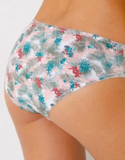 Culotte Coton Brodé Olbia Imprimé Feuillage - Lot De 2 -Célèbre Lingerie Magasin 707630 C01 zoomx vue3