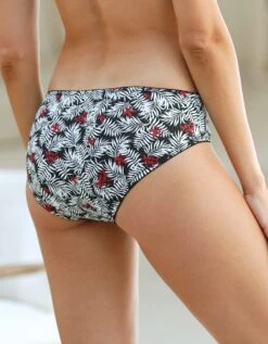 Culotte Coton Imprimé Brodé Olbia – Lot De 2 -Célèbre Lingerie Magasin 707667 C01 zoomx vue3