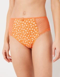 Culotte Maxi Dentelle Coton Imprimé Tropea - Lot De 4