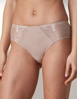 Culotte Forme Midi Microfibre Et Dentelle Stretch Camana - Lot De 2