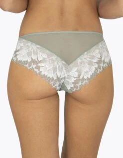 Slip Dentellissime WELL® -Célèbre Lingerie Magasin 707903 C01 zoomx vue2