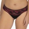 Slip Dentellissime WELL® -Célèbre Lingerie Magasin 707904 C01 zoomx