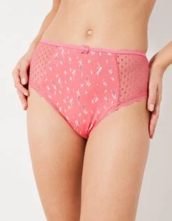 Culotte Maxi Dentelle Coton Imprimé "feuilles" Tropea - Lot De 4 -Célèbre Lingerie Magasin 707923 C01 zoomx vue3